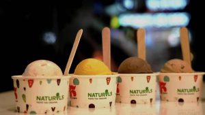 Naturals Ice Cream 